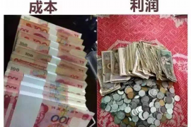 泗水为什么选择专业追讨公司来处理您的债务纠纷？